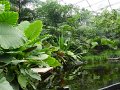 16 - Eine vielfaeltige Vegetation